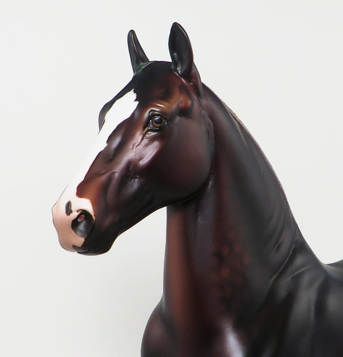 DARK LIVER CHESTNUT PAINT