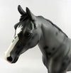 Model Horse
