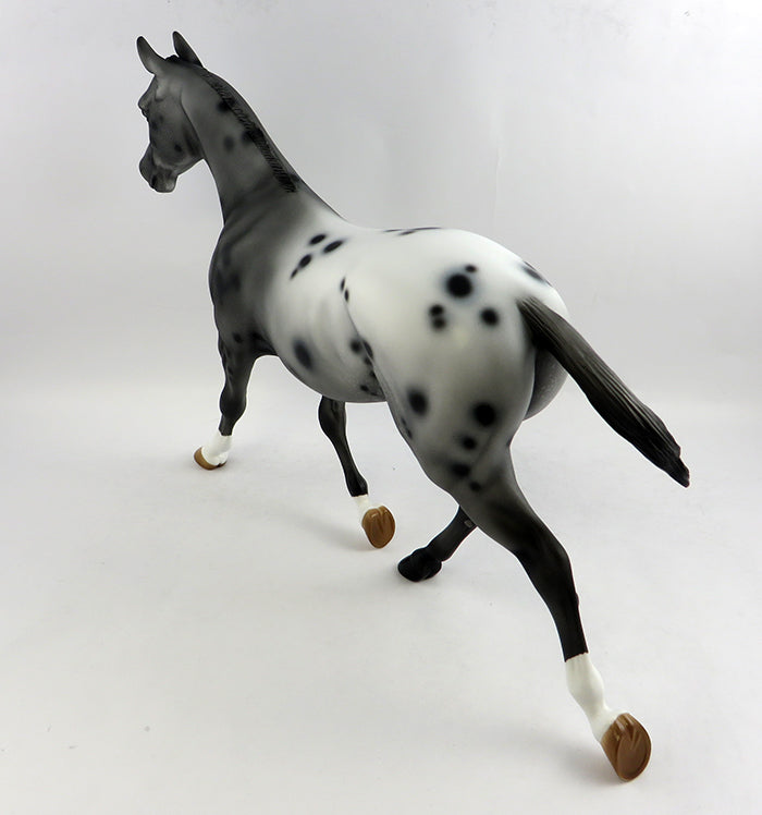 Appaloosa
