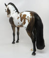 Andalusian