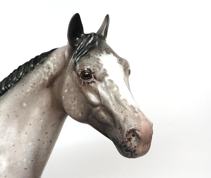 I HAVE A SECRET-OOAK BAY SEMI LEOPARD APPALOOSA ISH MODEL HORSE BY SHERYL LEISURE 8/26
