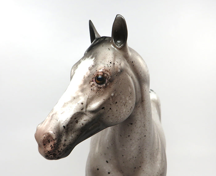 I HAVE A SECRET-OOAK BAY SEMI LEOPARD APPALOOSA ISH MODEL HORSE BY SHERYL LEISURE 8/26