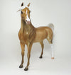ARABIAN HORSE