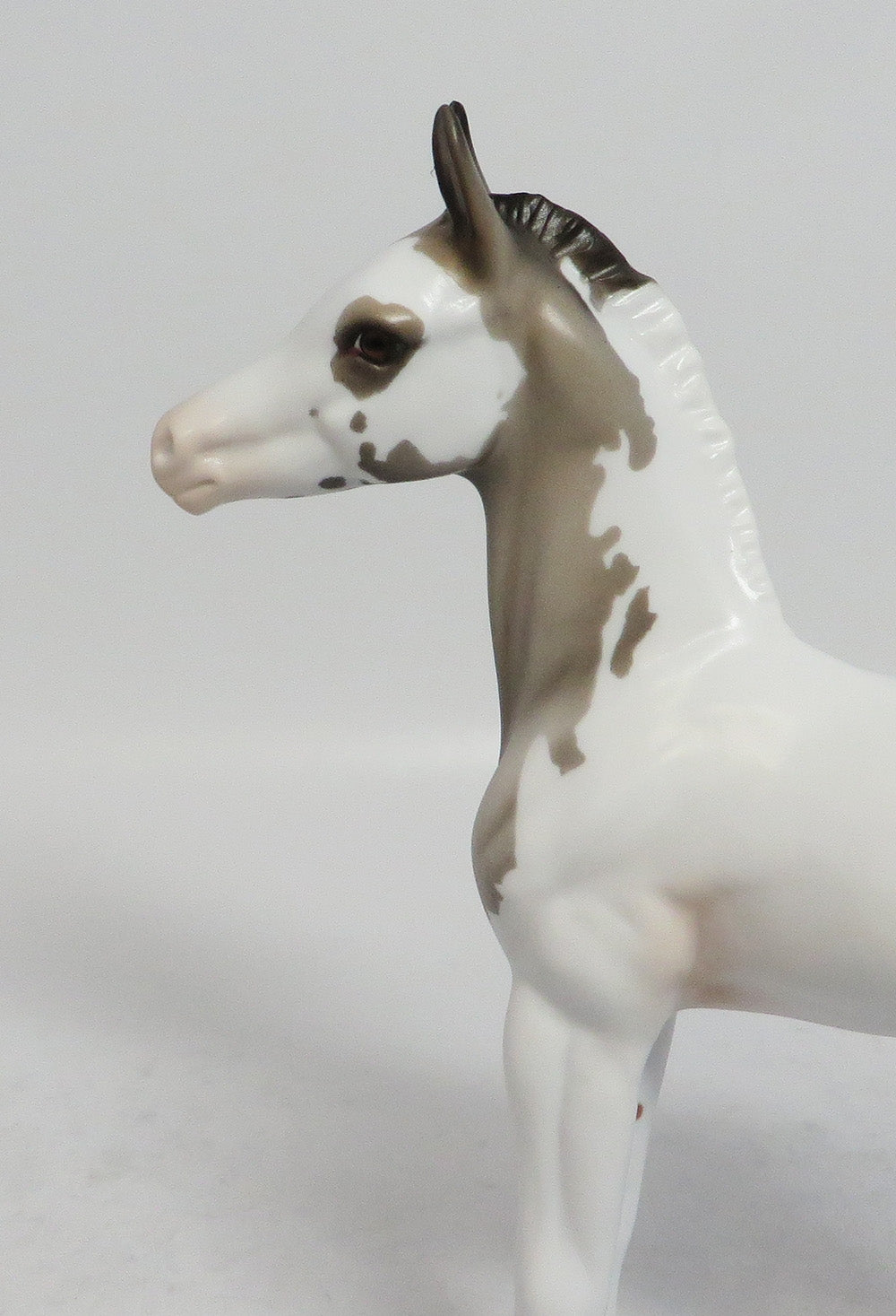 MY BONNY-LE-5 GRULLA PAINT FOAL MODEL HORSE SUPER BOWL SALE 2018