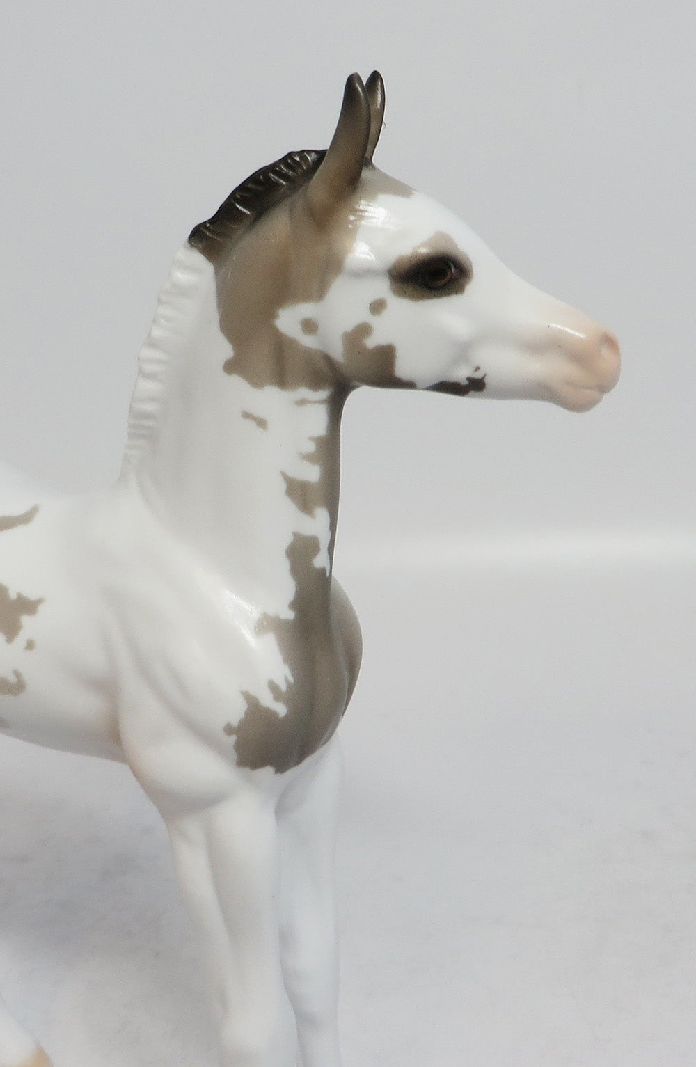 MY BONNY-LE-5 GRULLA PAINT FOAL MODEL HORSE SUPER BOWL SALE 2018