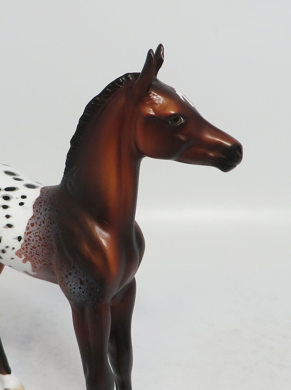 JIGGY- LE-5 BAY APPALOOSA FOAL MODEL HORSE SUPER BOWL SALE 2018