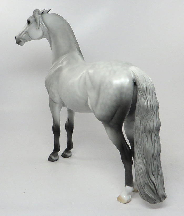 ROSEY-OOAK DAPPLED GREY MORGAN MODEL HORSE 8/30