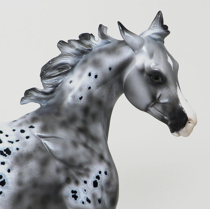 TURNED EAR &amp; HEAD