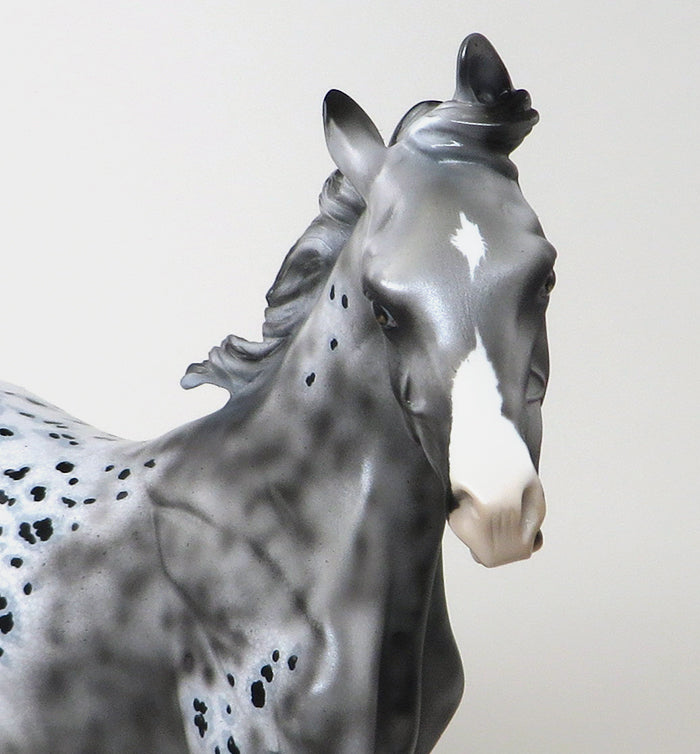OOAK APPALOOSA YEARLING