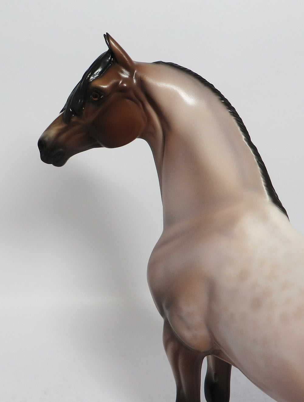 RISE AND SHINE-OOAK BAY ROAN MORGAN MODEL HORSE BY SHERYL LEISURE