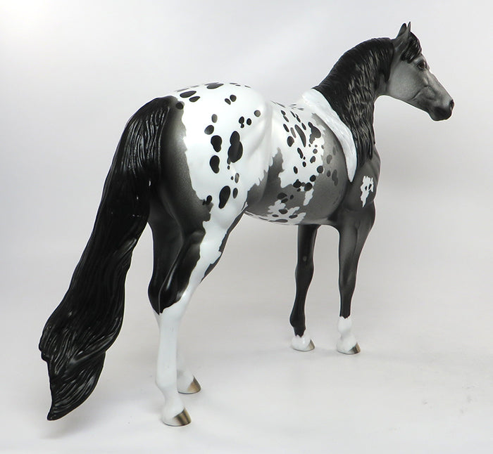 appaloosa