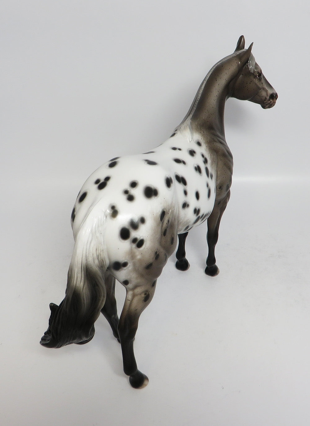 LILY OLAY-OOAK ROAN APPALOOSA ISH MARE MODEL HORSE BY SHERYL LEISURE