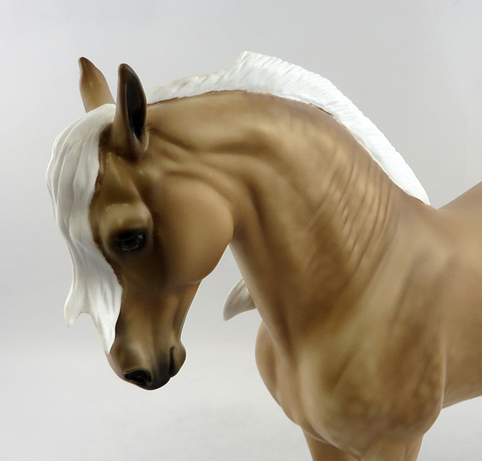 Palomino