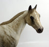 quarter horse