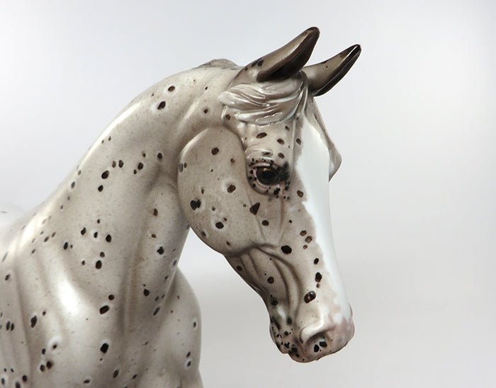 FLY BY NIGHT-OOAK LOUD APPALOOSA PALOUSE MODEL HORSE BY SHERYL LEISURE 8/26