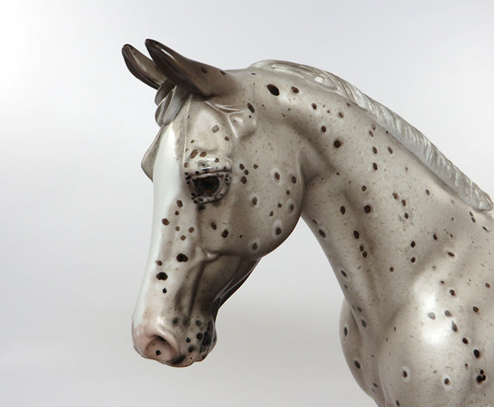 FLY BY NIGHT-OOAK LOUD APPALOOSA PALOUSE MODEL HORSE BY SHERYL LEISURE 8/26