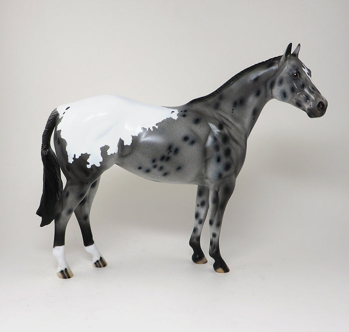 APPALOOSA ISH