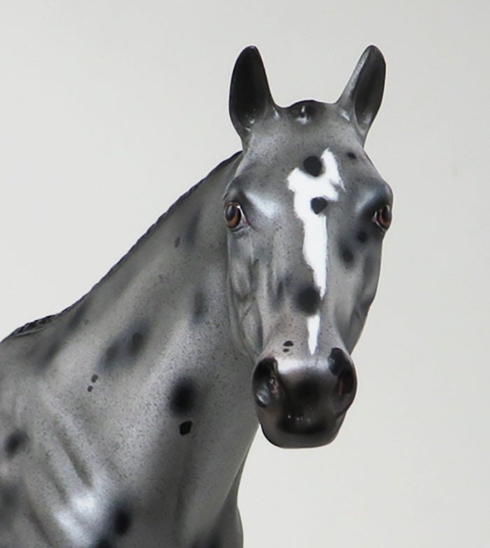 OOAK APPALOOSA