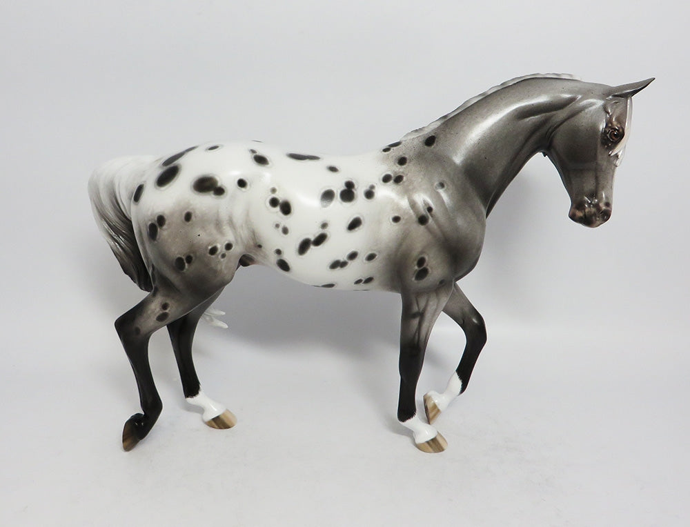 TEXAS JACK-OOAK ROAN APPALOOSA THOROUGHBRED MODEL HORSE BY SHERYL LEISURE