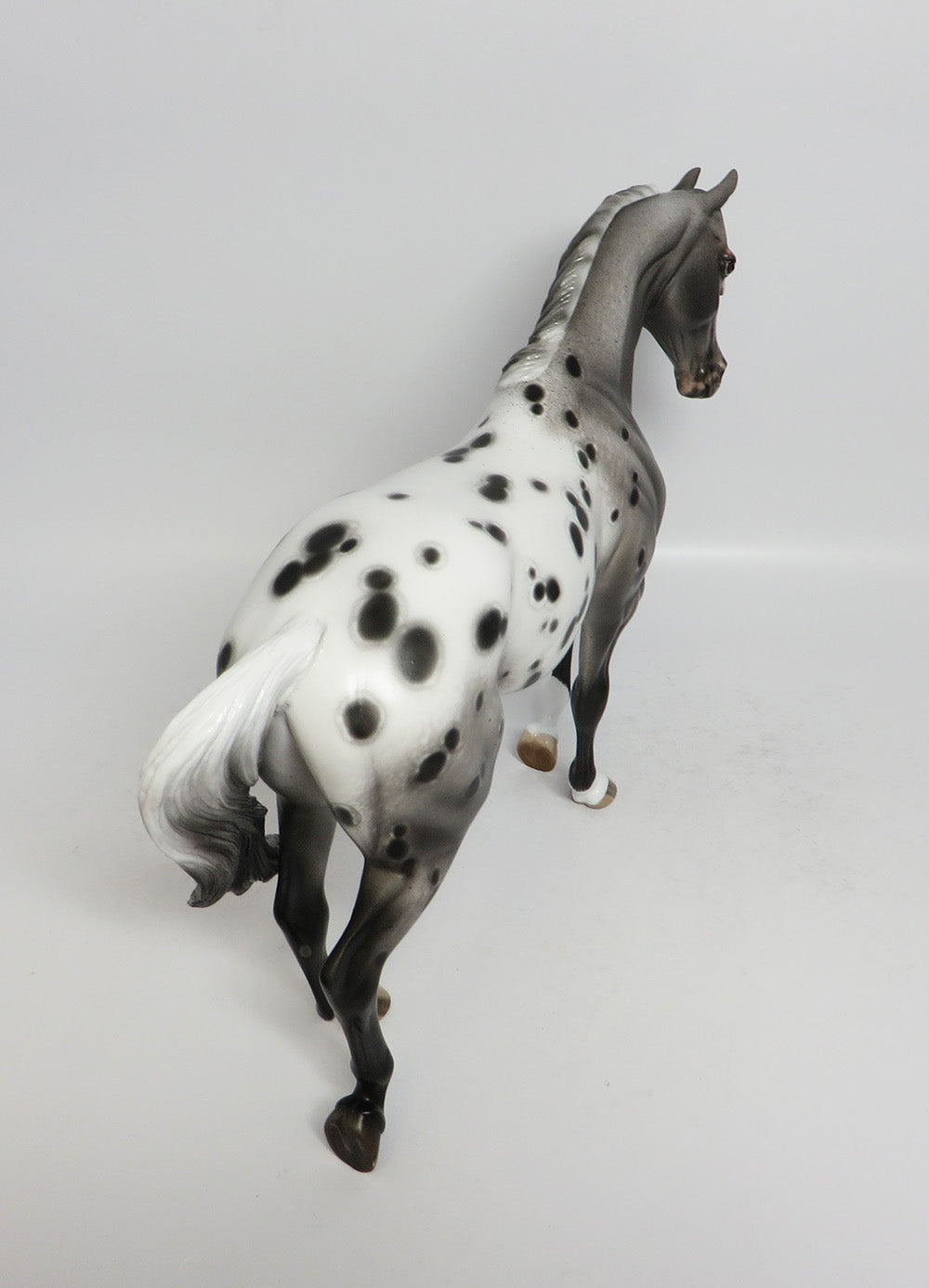 TEXAS JACK-OOAK ROAN APPALOOSA THOROUGHBRED MODEL HORSE BY SHERYL LEISURE