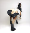 OOAK BAY APPALOOSA