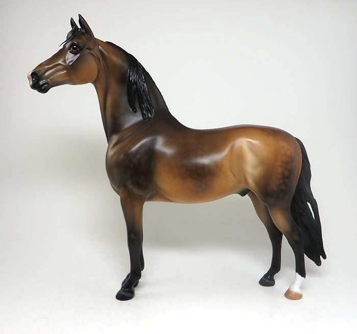 One of Kind Morgan Horse