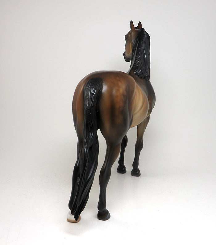 SOOTY BUCKSKIN MORGAN