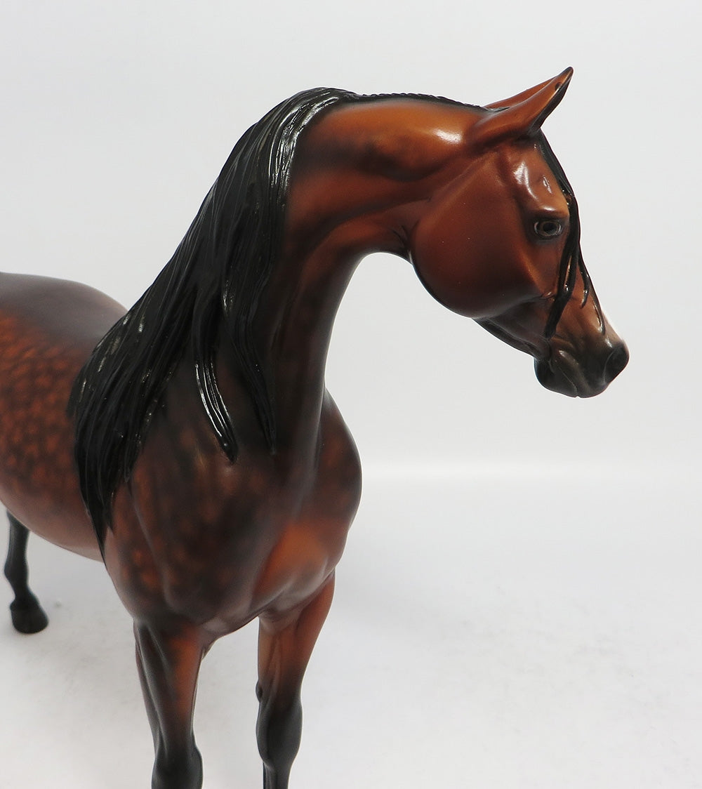 BARRACHO-OOAK DAPPLE BAY ARABIAN MODEL HORSE BY SHERYL LEISURE