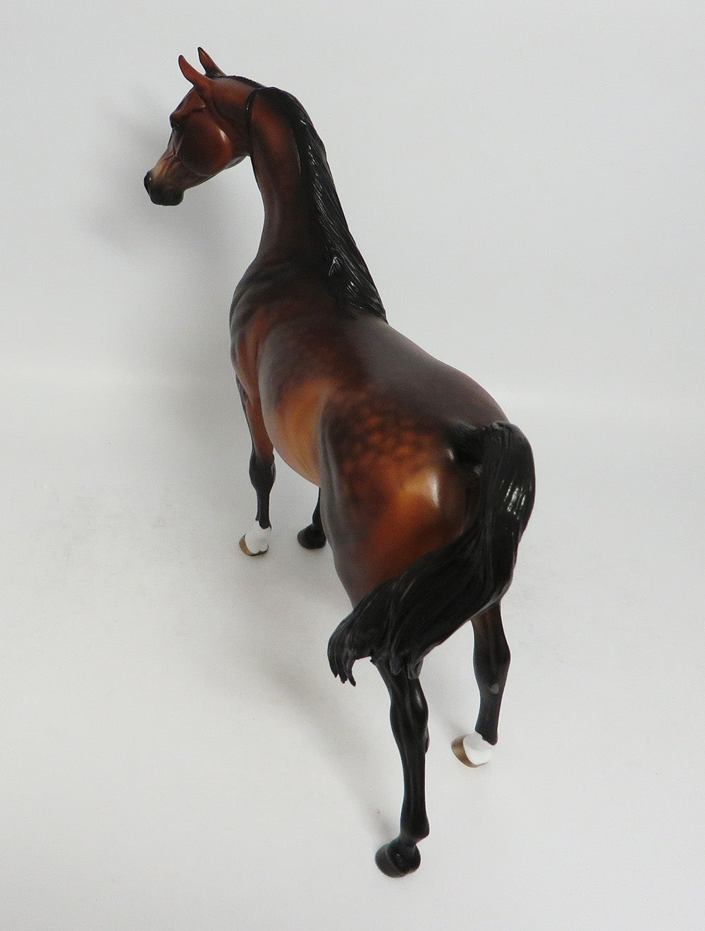 BARRACHO-OOAK DAPPLE BAY ARABIAN MODEL HORSE BY SHERYL LEISURE