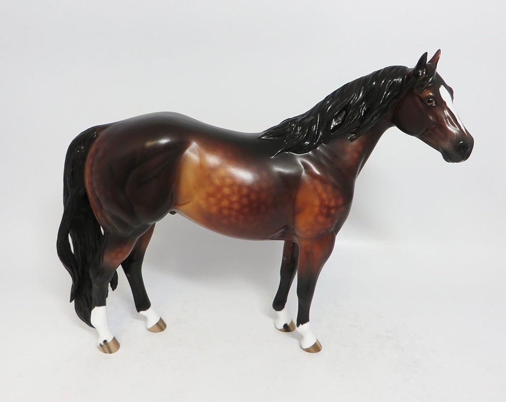 DUKE VALENTINE-OOAK STAR DAPPLE BAY ISH MODEL HORSE BY SHERYL LEISURE