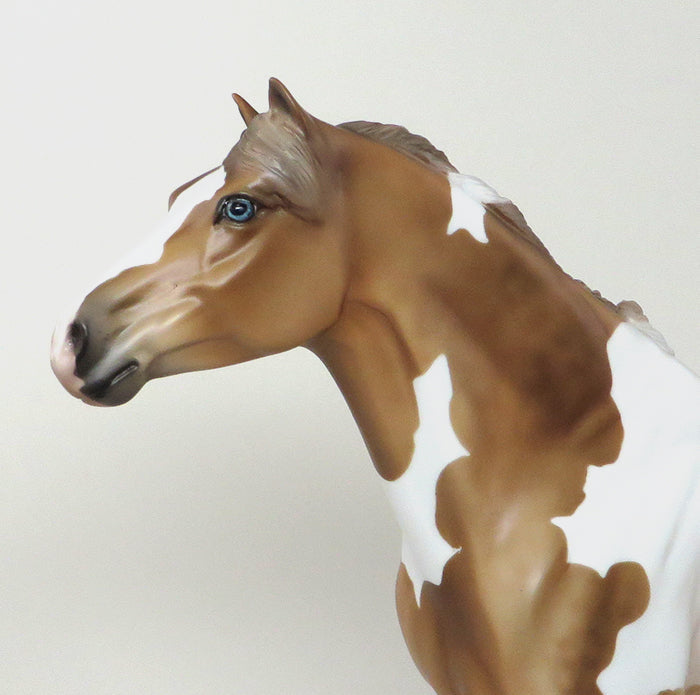 TOBIANO SPANISH MUSTANG