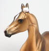 OOAK YEARLING