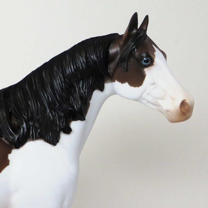 BUCKSKIN SPLASH OVERO