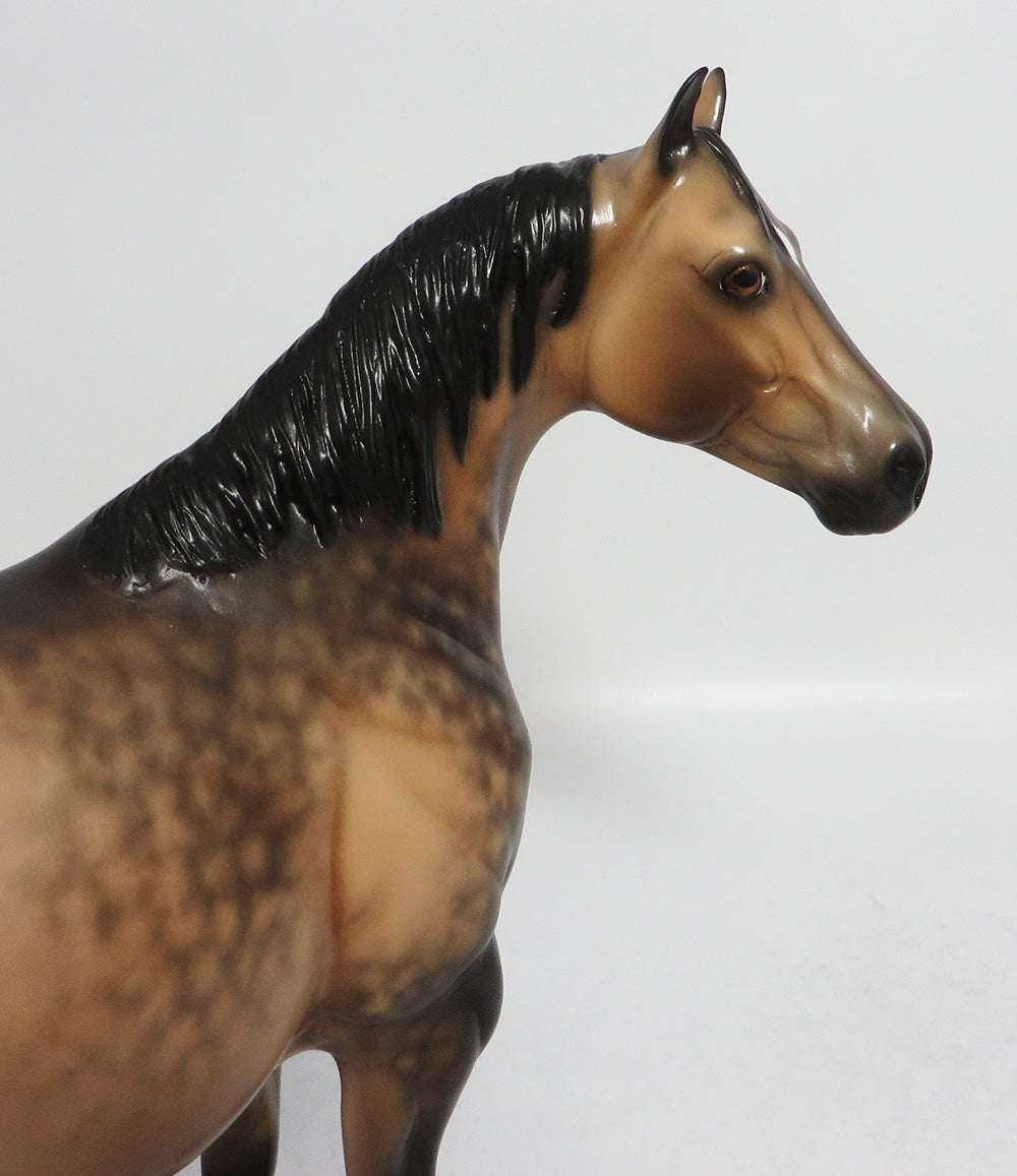 PROFESSOR FATE-OOAK SOOTY DAPPLE BUCKSKIN ISH MODEL HORSE BY SHERYL LEISURE