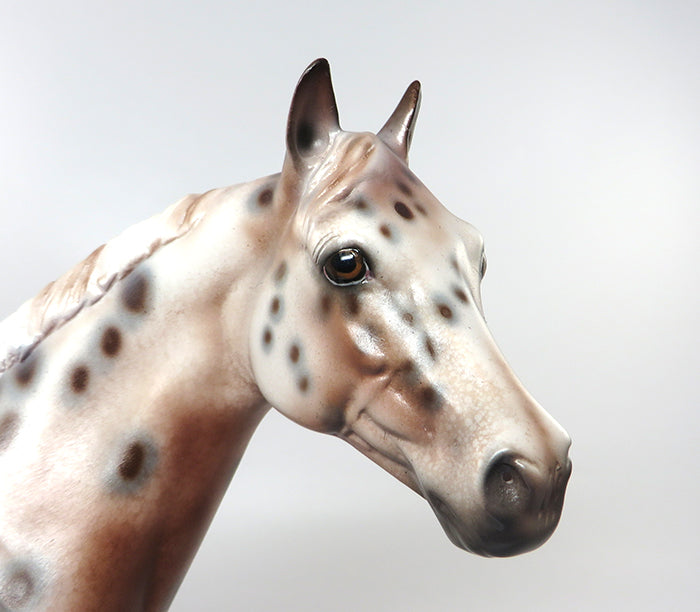MAXED OUT IN CHROME &quot;MAX&quot; CHESTNUT APPALOOSA ISH MODEL 8/30