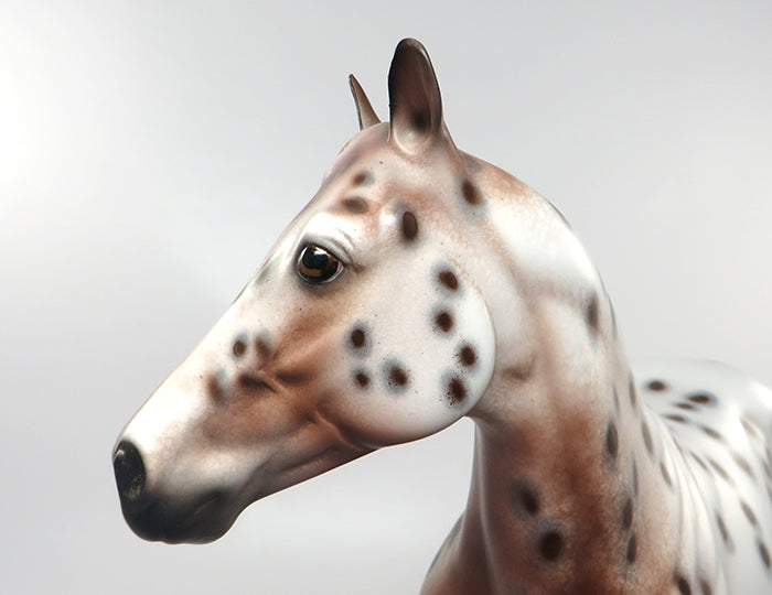 MAXED OUT IN CHROME &quot;MAX&quot; CHESTNUT APPALOOSA ISH MODEL 8/30