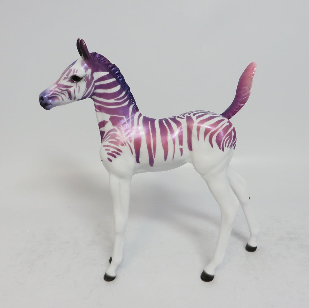 FRUIT STRIPE ARABIAN FOAL LE RUN 2018
