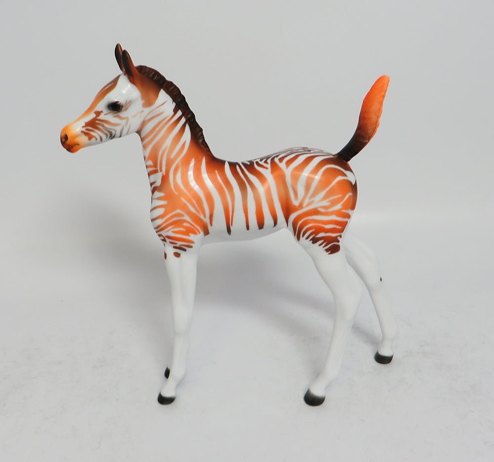 FRUIT STRIPE ARABIAN FOAL LE RUN 2018