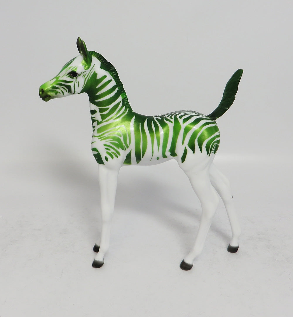 FRUIT STRIPE ARABIAN FOAL LE RUN 2018