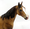 buckskin 