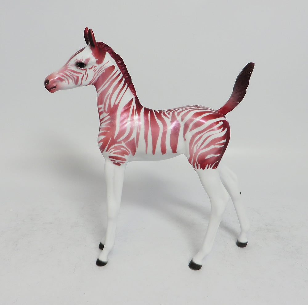 FRUIT STRIPE ARABIAN FOAL LE RUN 2018