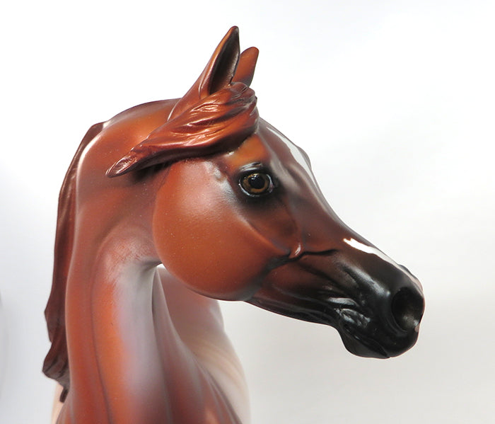 RICARDO-OOAK CHESTNUT RABICANO ARABIAN MODEL HORSE 8/30