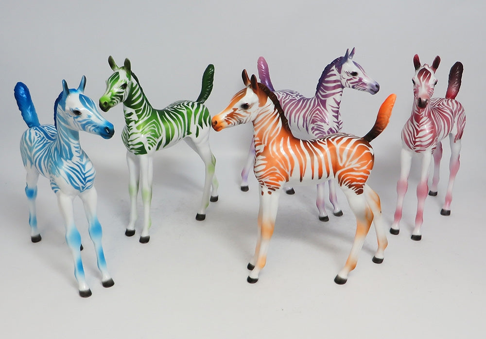 FRUIT STRIPE ARABIAN FOAL LE RUN 2018