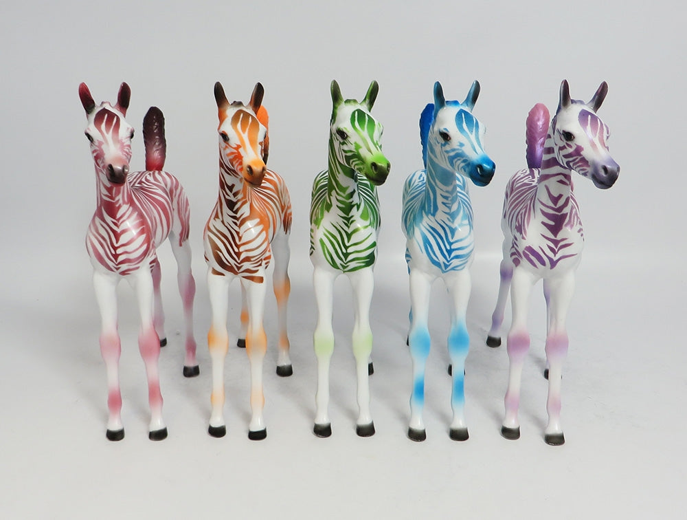 FRUIT STRIPE ARABIAN FOAL LE RUN 2018