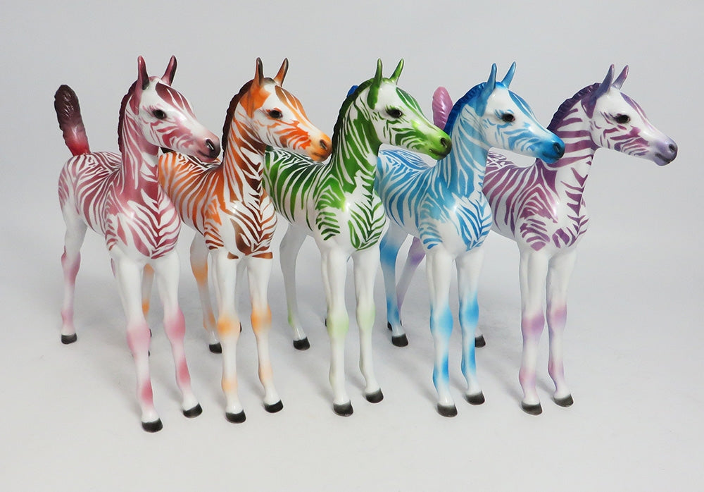 FRUIT STRIPE ARABIAN FOAL LE RUN 2018