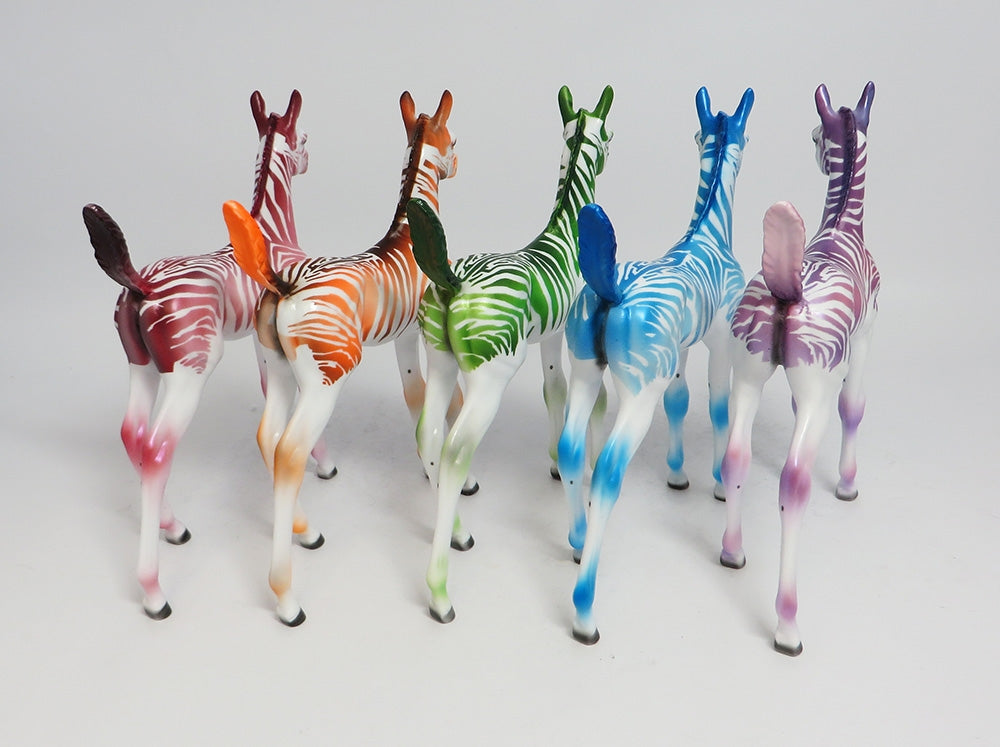 FRUIT STRIPE ARABIAN FOAL LE RUN 2018