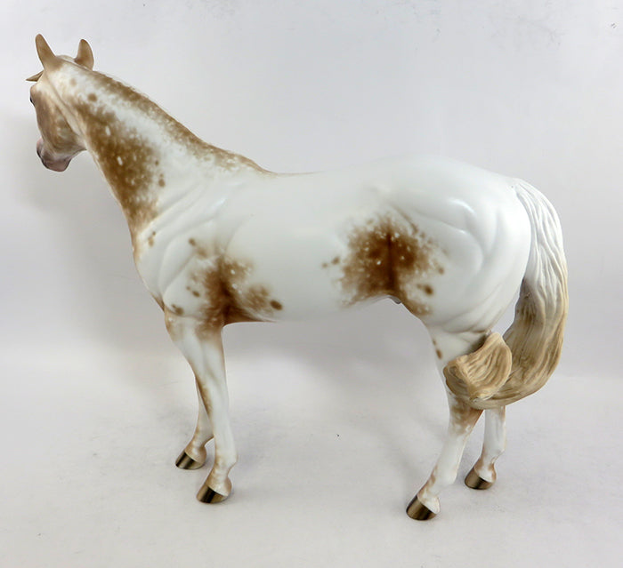 APPALOOSA