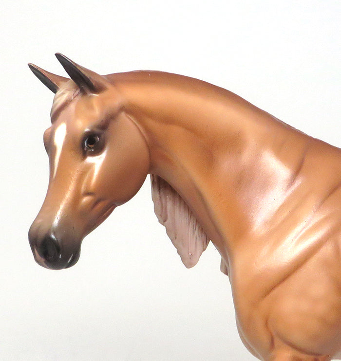 arabian model horse 