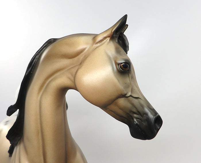 ONE KOOL CAT-OOAK BUCKSKIN APPALOOSA ARABIAN MODEL HORSE 9/1
