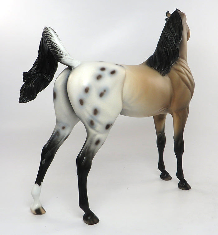 Appaloosa